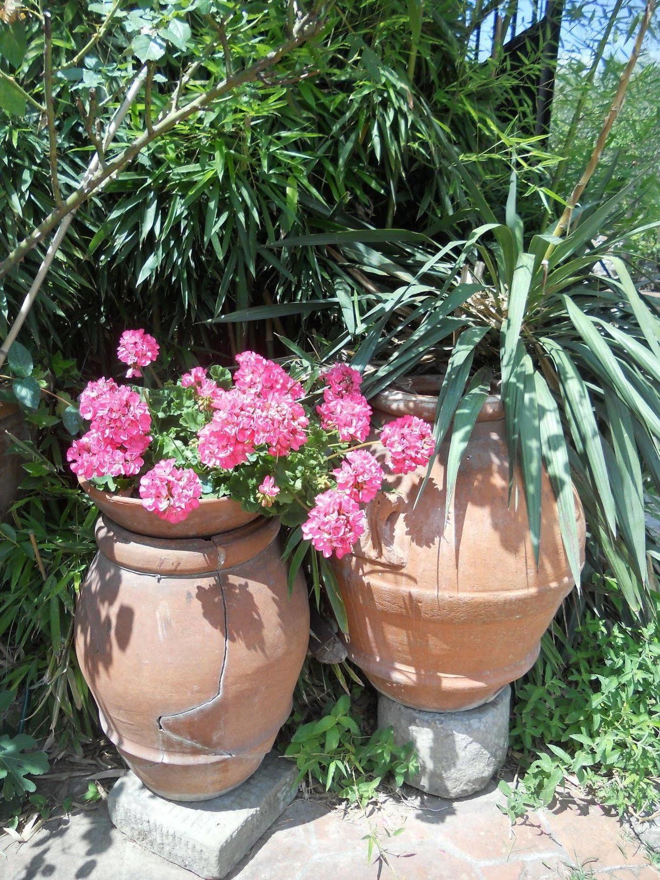 Estadia no rancho Le Macine *