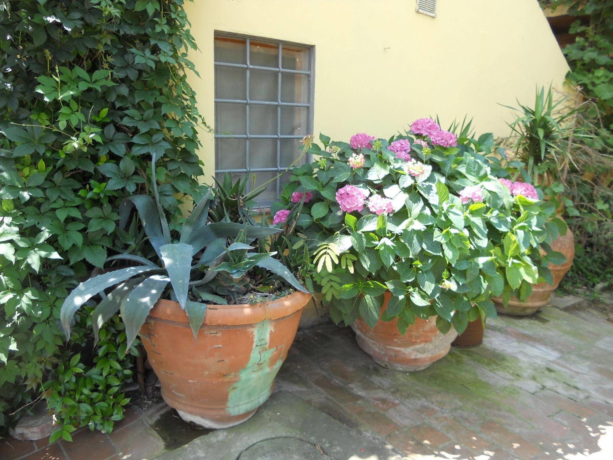 Estadia no rancho Le Macine Florença